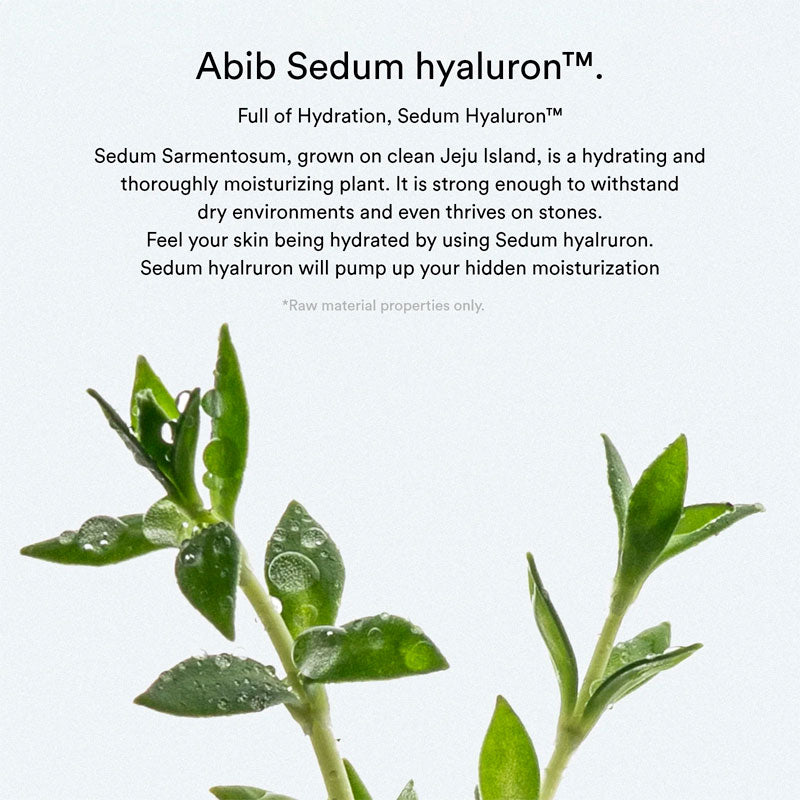 Abib Sedum Hyaluron Pad Hydrating Touch 165ml / 75pads-2